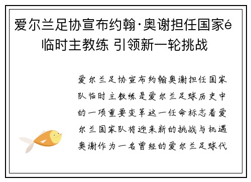 爱尔兰足协宣布约翰·奥谢担任国家队临时主教练 引领新一轮挑战 爱尔兰足协宣布约翰·奥谢担任国家队临时主教练 引领新一轮挑战